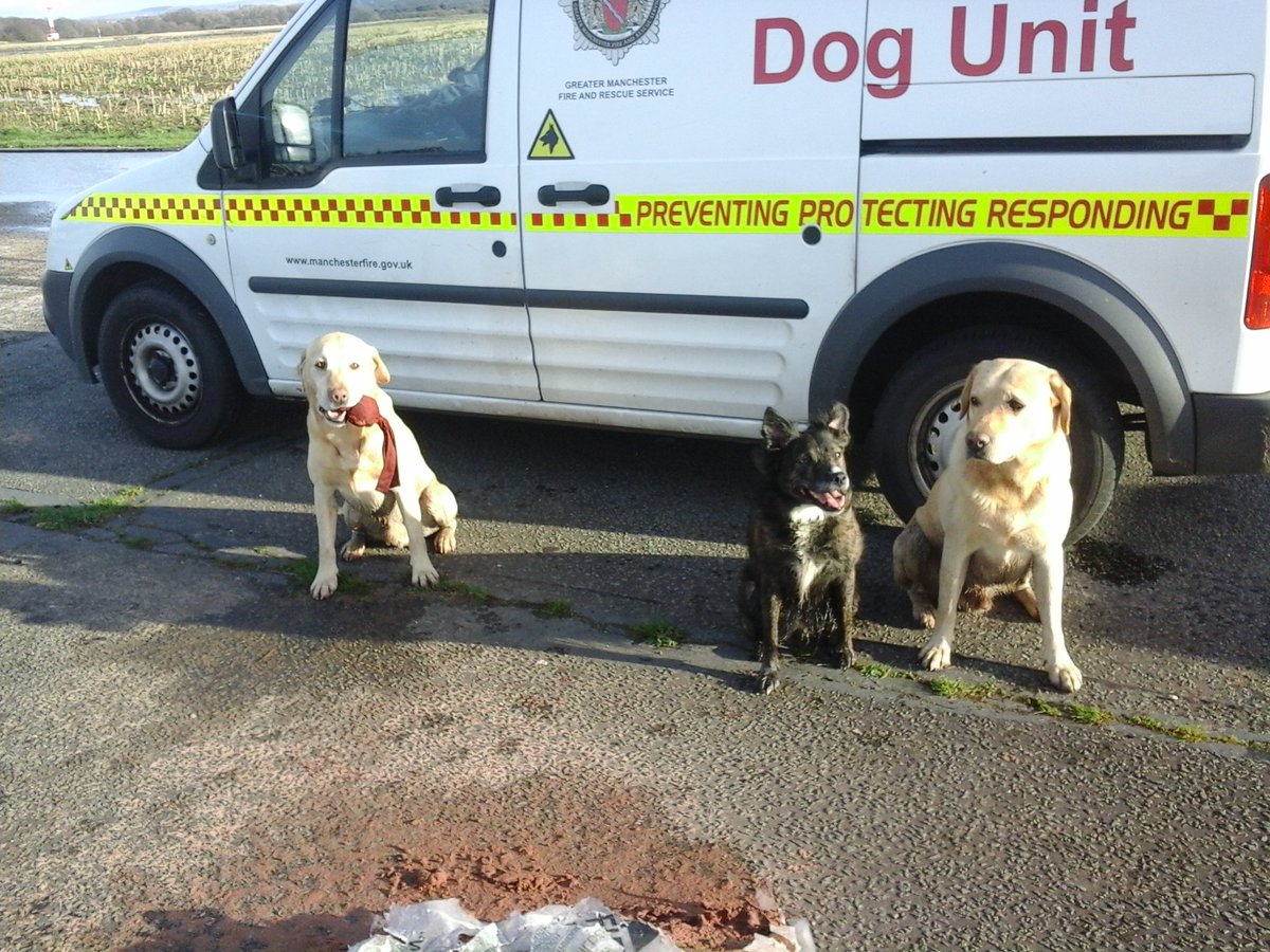 USAR dog team at todays training at woodford