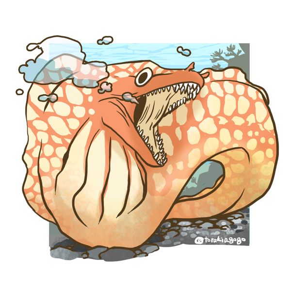 ウツボのtwitterイラスト検索結果 古い順 ウツボのtwitterイラスト検索結果 古い順