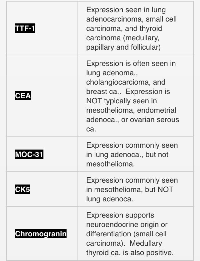Can Someone Survive Stage 4 Stomach Cancer