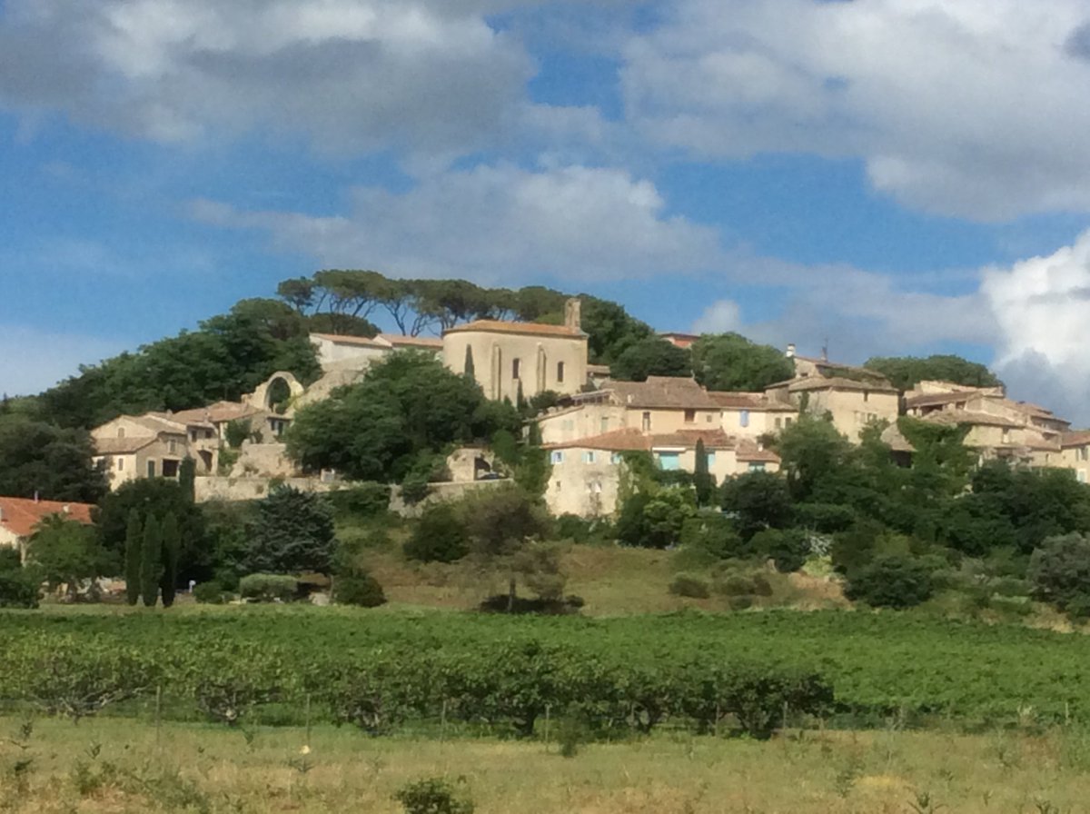 OrthSeriQuilh's tweet photo. Cérémonie des voeux, projet d'extension du réseau BRL, environnement, intercommunalité : https://t.co/vskBqm4RFI https://t.co/vg1LHEOOa0