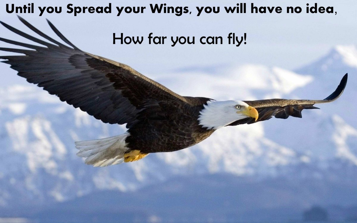 Brigette Hyacinth on Twitter: "Until you spread your wings, you ...