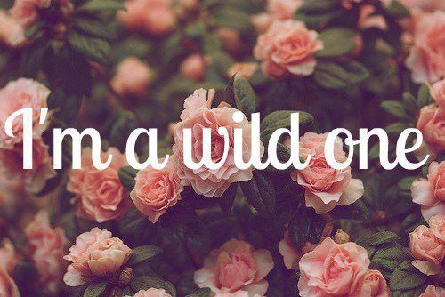 BloodyAmerica's tweet image. 