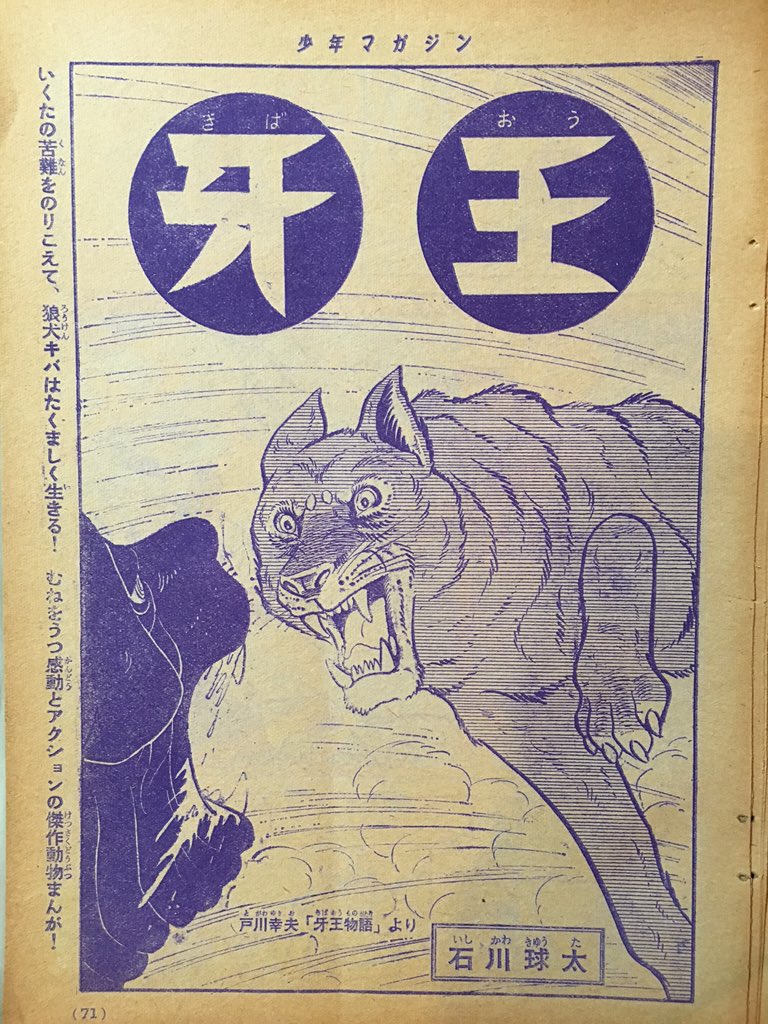 新連載 石川球太 月にほえろ∕週刊少年マガジン1967年9号∕キングコング 漫画家・石川球太。 | こんなんみっけ