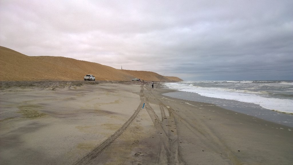 CallithrixApe's tweet image. 