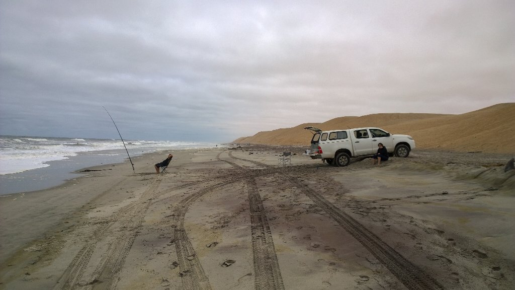 CallithrixApe's tweet image. 