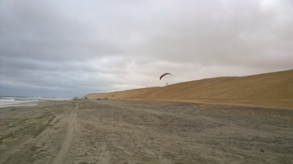 CallithrixApe's tweet image. 