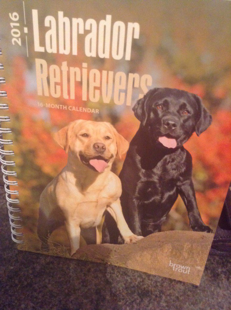 Mums new diary to plan our training sessions