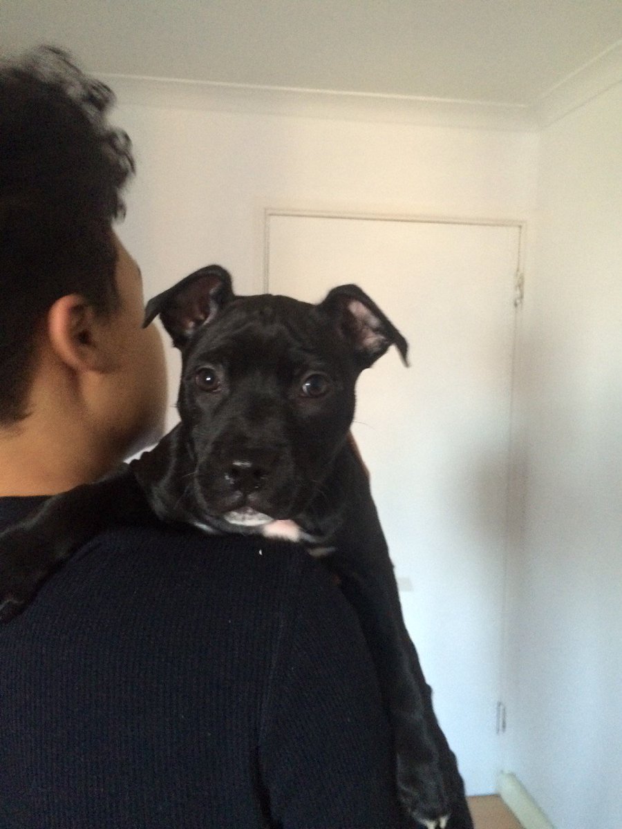 Frances gilson tweet media