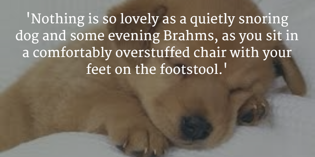 #CanineCareWithMarcTheVet
buff.ly/1IaU9Ba