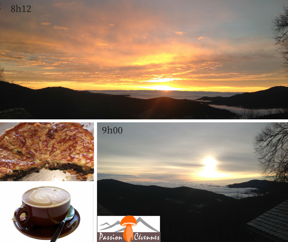 CevennesPassion's tweet photo. Petit déjeuner au dessus des nuages : https://t.co/SUG8KLGUcs