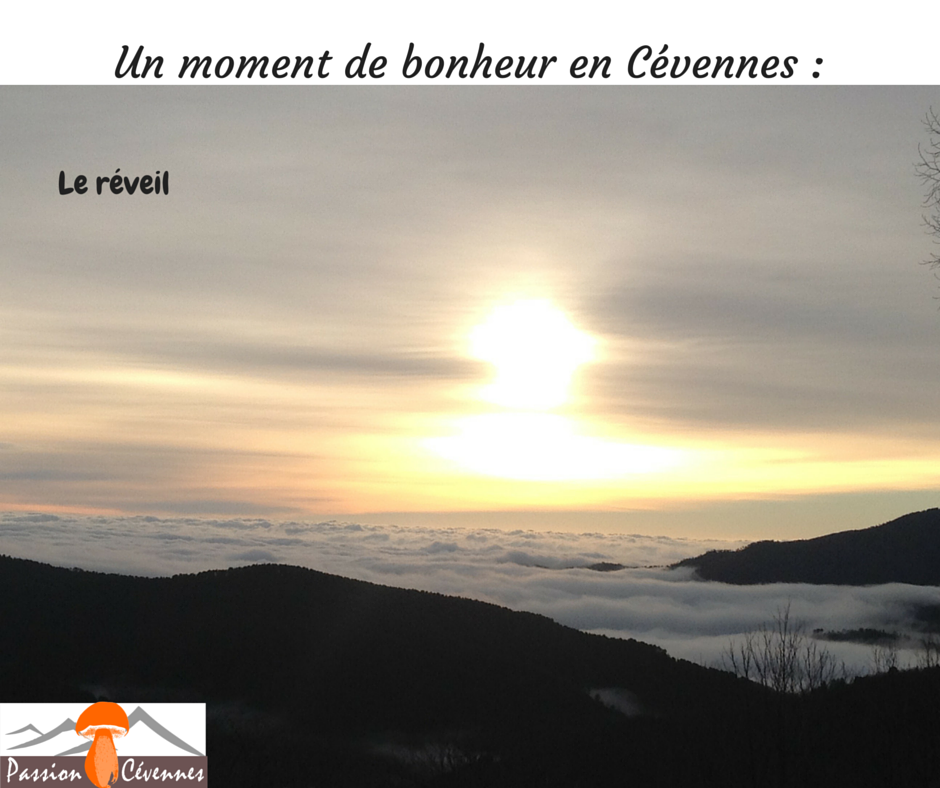 CevennesPassion's tweet photo. Un moment de bonheur en Cévennes https://t.co/zMNzUsCabi