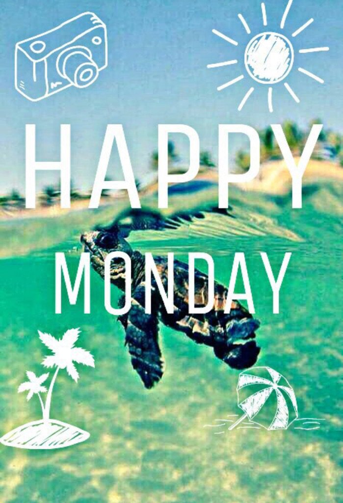 FeeCaldwell's tweet photo. #hellomonday https://t.co/leQkzH1qYH