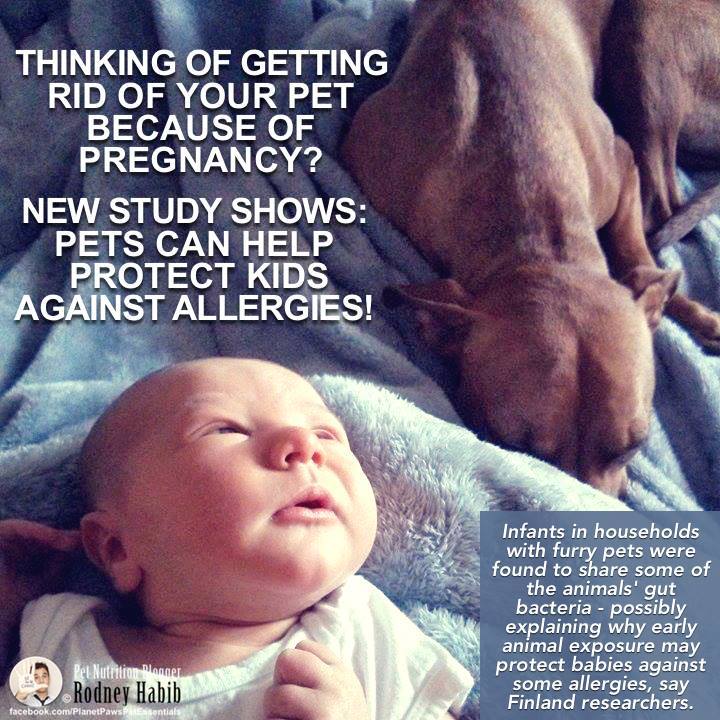 RelaxInMiami's tweet photo. AllerVision: RT TheLitterSitter: Babies have immunity thanks to our pets! #winning #miamibeach #southbeach #miamid… https://t.co/X0kkWtFgp7