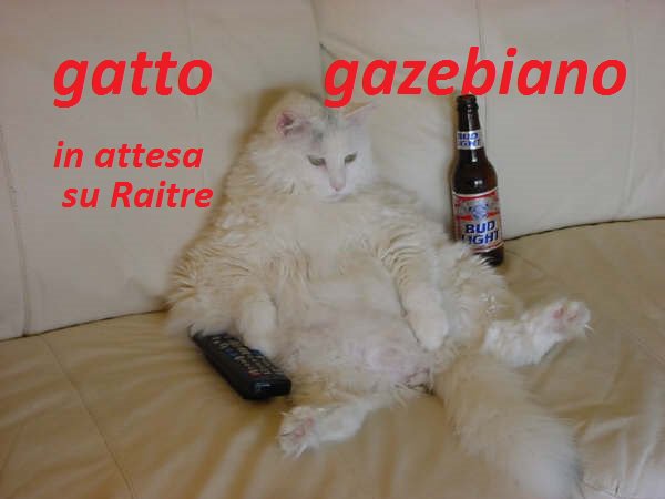 pulcepalma's tweet photo. @tommicasigliani @miss0uri4 @KatiaTrudinia @RaiTre @makkox @zdizoro @SalernoSal @ettorebianchi #esseci su #gazebo https://t.co/rCfLC03k4S