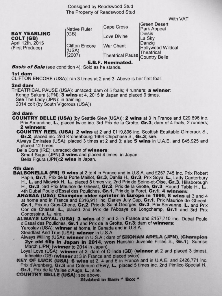 Readswoodstud's tweet image. @BradWeisbord @AlShaqabRacing #WarChant as BROODMARESIRE ... #Shalaa. Clifton Encore from family #Anabaa #KeyOfLuck