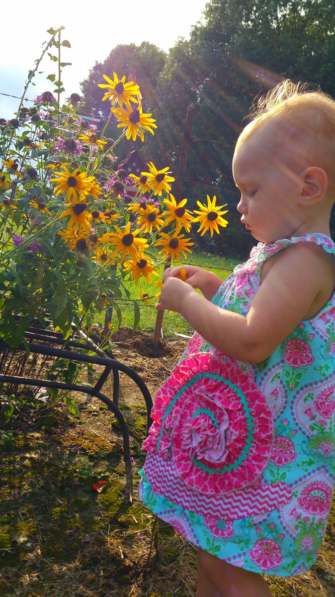BayouCakes's tweet photo. I Love this! #beautiful, #MSinthespring, #MS, #msbeauties https://t.co/9n7SAUSaD0