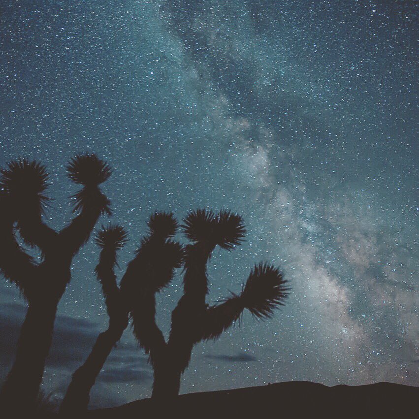 rootfootoils's tweet photo. Let us live for the beauty of our own reality #tomrobbins #rootfoot #quote #life #boulder #co https://t.co/GuvwMbq92Q