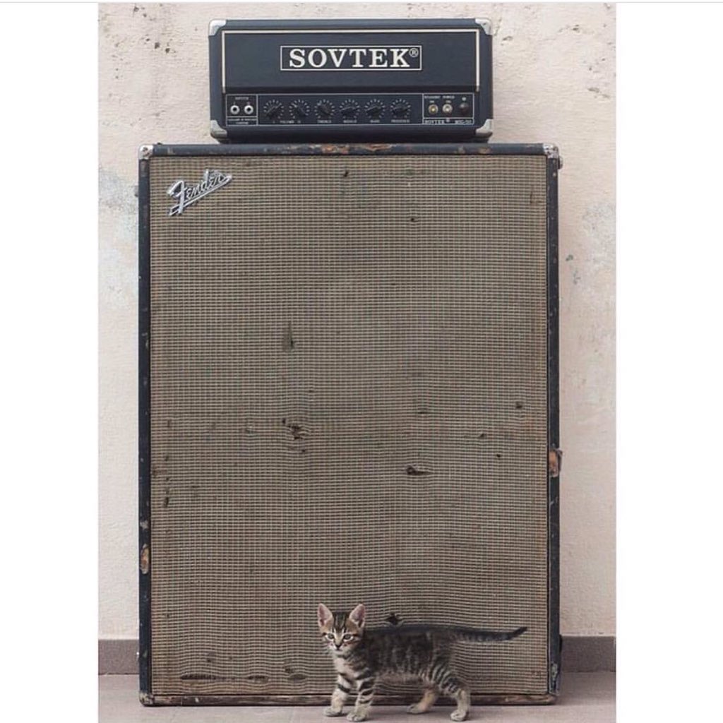 catsonamps's tweet image. #CatsOnAmps #Sovtek #Fender #MagneticEyeRecords #Albany #MER #Kitten @sovtekamplifiers @fenderguitar #sundaze