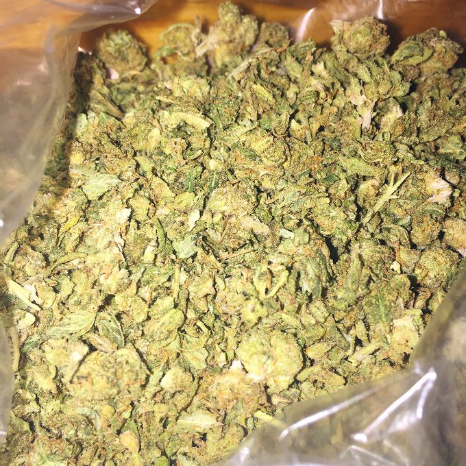 10$ fwm ⛽️⛽️⛽️⛽️💪💨💨💨 https://t.co/ymBC5UlK9M<a href="/tag/bossshit"class="tags"><span>#bossshit</span></a>