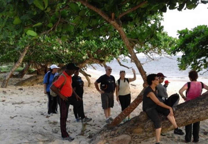 km_moussa's tweet image. #logicielsetservices #topccs  #logiciels #libreville #gabon 
Sport by #walking for health