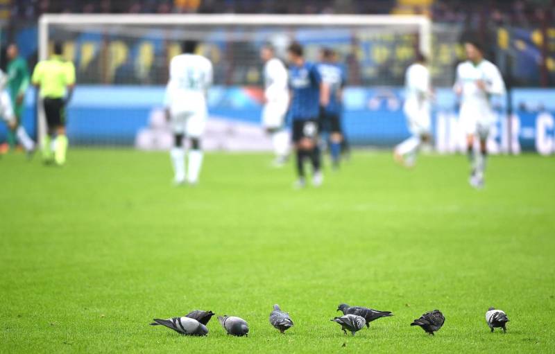 giulay85's tweet photo. A San Siro oggi i gufi sono diventati piccioni #InterSas #InterSassuolo #SerieA https://t.co/zDrMf0yBEU