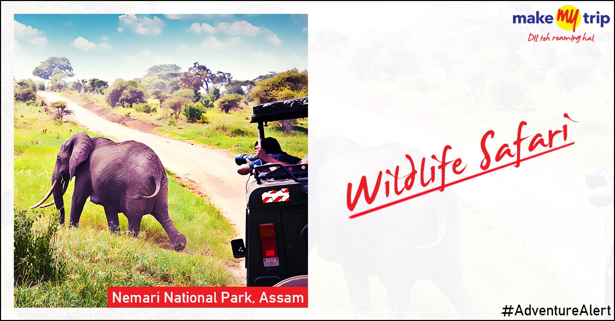 makemytrip's tweet photo. Experience the wild side of nature up close with a trip to a national park. #AdventureAlert https://t.co/MDn62ERsac