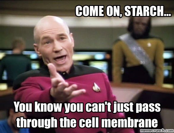 Membrainiacss's tweet photo. it can't, and it won't. #cellection16c https://t.co/KTjnuFtSwZ