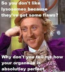 lysosawesome's tweet photo. What do you say to that? #cellection16g https://t.co/KkpoFAhYTb