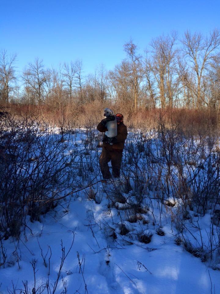 amarkfelder's tweet photo. So thankful to have this guy back. Thanks for everyone's help. https://t.co/a5cYJm2N6c