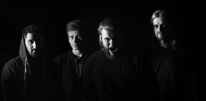 Elevation Denmark tweet media