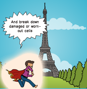 lysosawesome's tweet photo. I'm always ready to defend the cell and do what I can to help! #cellection16g https://t.co/TpqDcyyzkG