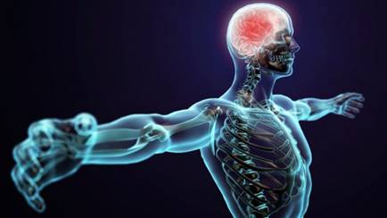 RehabRoboticsCo's tweet photo. Scientists found that a molecule GDF10 is a key player in repair mechanisms following stroke
https://t.co/dGXWthQT58 https://t.co/VzB5WuPWWh