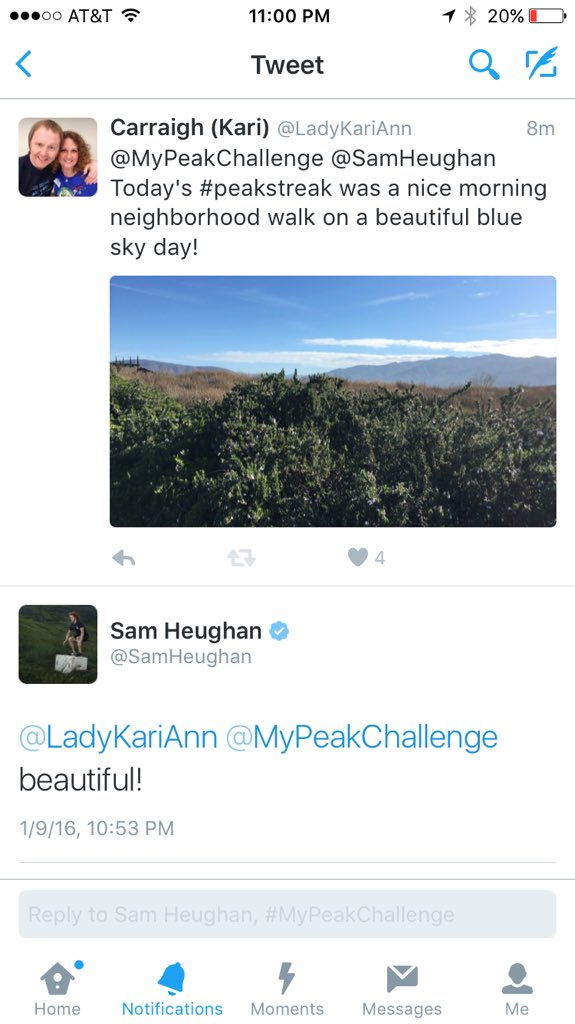 Carraigh tweet media