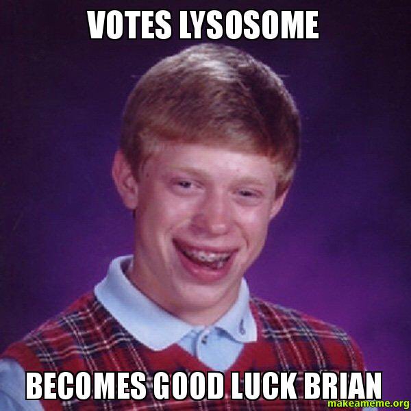 lysosawesome's tweet photo. Don't you wish you were "good luck Brian"? You can be if you #votelysosome 👍🏽 #cellection16g https://t.co/EXAEnLG9IU