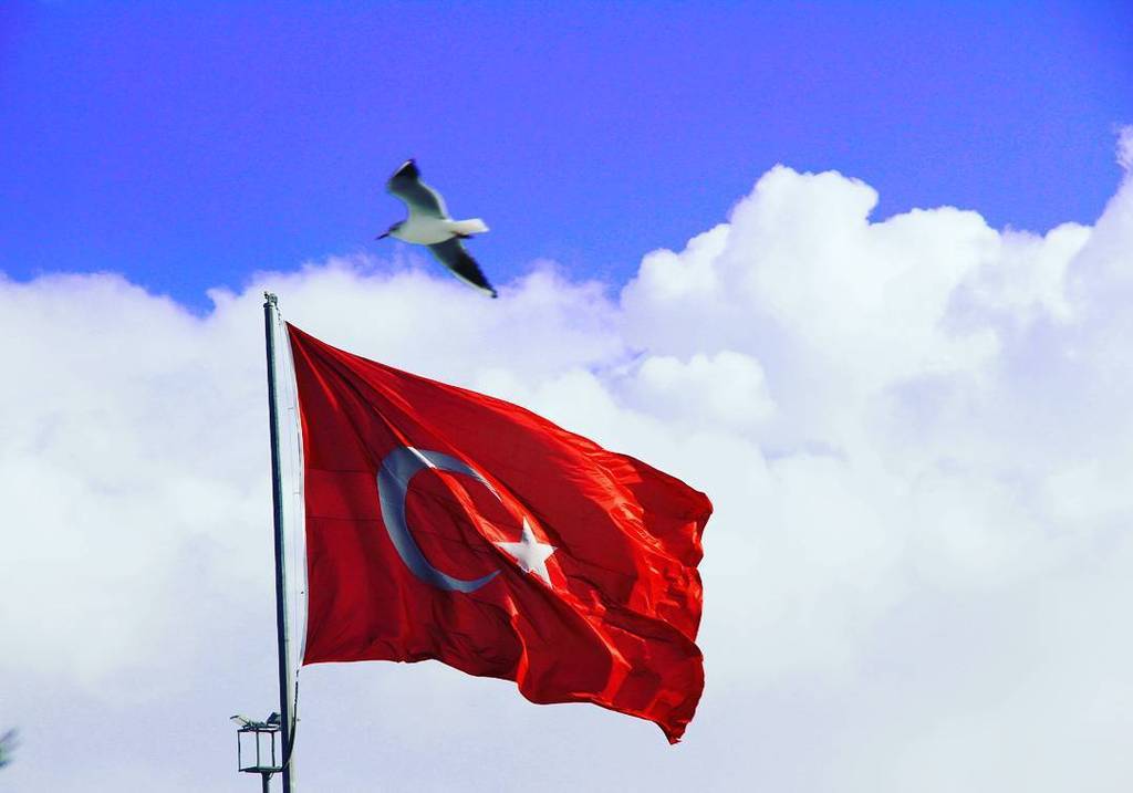 PicsFromFB's tweet image. #turkeyflag #bird #sky by marbus380 ift.tt/1ZeHfoe