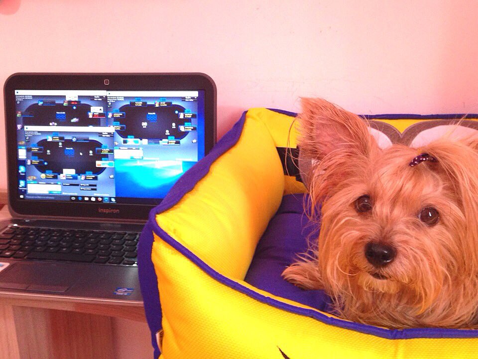 kkdelcastilho's tweet photo. Tão de olho no meu jogo 👀😑 hauahau😂
#valendoo #grind no domingão
Gl, galera🍀🙏
Vqv 💪🏼 #888poker #teamfoster888 https://t.co/cNqlH69HlD