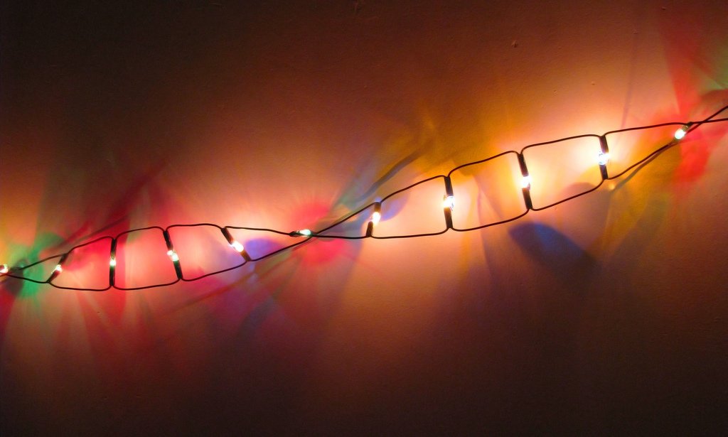 Hipertextual's tweet photo. BioLED, así es la iluminación mediada por ADN o proteínas https://t.co/A1K7Nw0ZZl https://t.co/uxQKvM6xbp