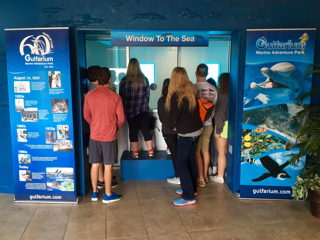 MABFreeport's tweet photo. When you're on an MABudget so you look through the free trial window instead of paying for the aquarium https://t.co/A1LDtJtU57