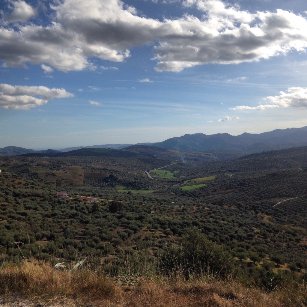 cycletrainrace's tweet photo. Beautiful blue skies and perfect cycling temperatures. #cycling #cyclist #vegancyclist #vegan https://t.co/j29ofQgl1d