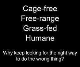 arthistorian's tweet photo. #JoinTheMovement #Liberation #GENOCIDEFEST #freedomleague #ENOUGH #FarmingHorrors  #EndWelfareBigAg #liestoldtous https://t.co/bfcesFaUku