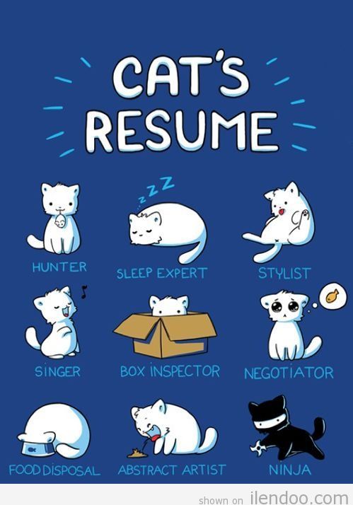 PAWSforAdoption's tweet photo. https://t.co/qZNMClMJtW