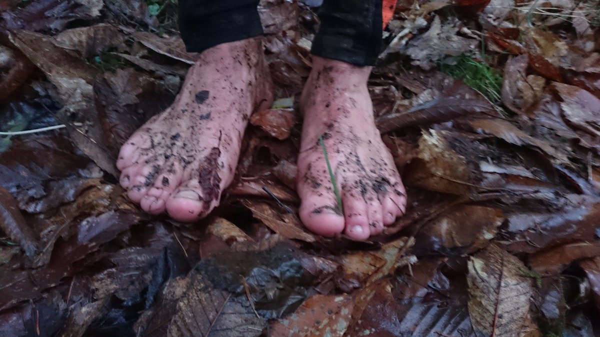 Arnold Duncan tweet media