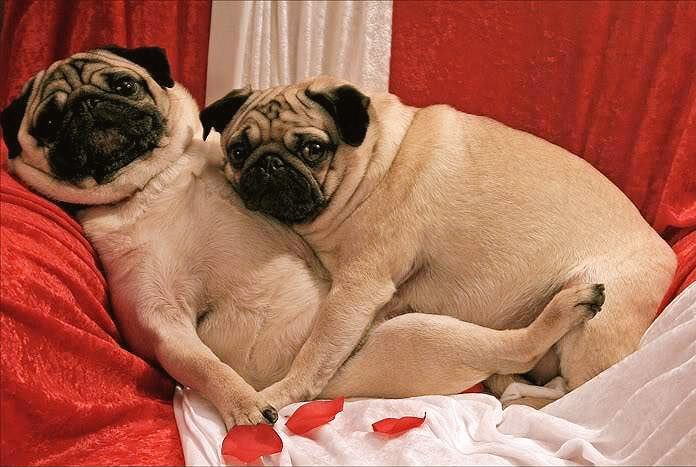 UncleCuthbert's tweet photo. Cuthbert opens door to parlour
"Oh I am sorry Algie, I really must learn to knock!" *adjusts monocle, chortles* https://t.co/KFkmlBhMpi