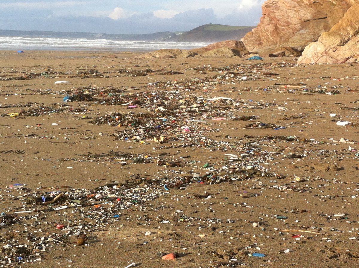 a_massos's tweet photo. Samples of marine litter from Whitsands Bay https://t.co/WARwRUTven