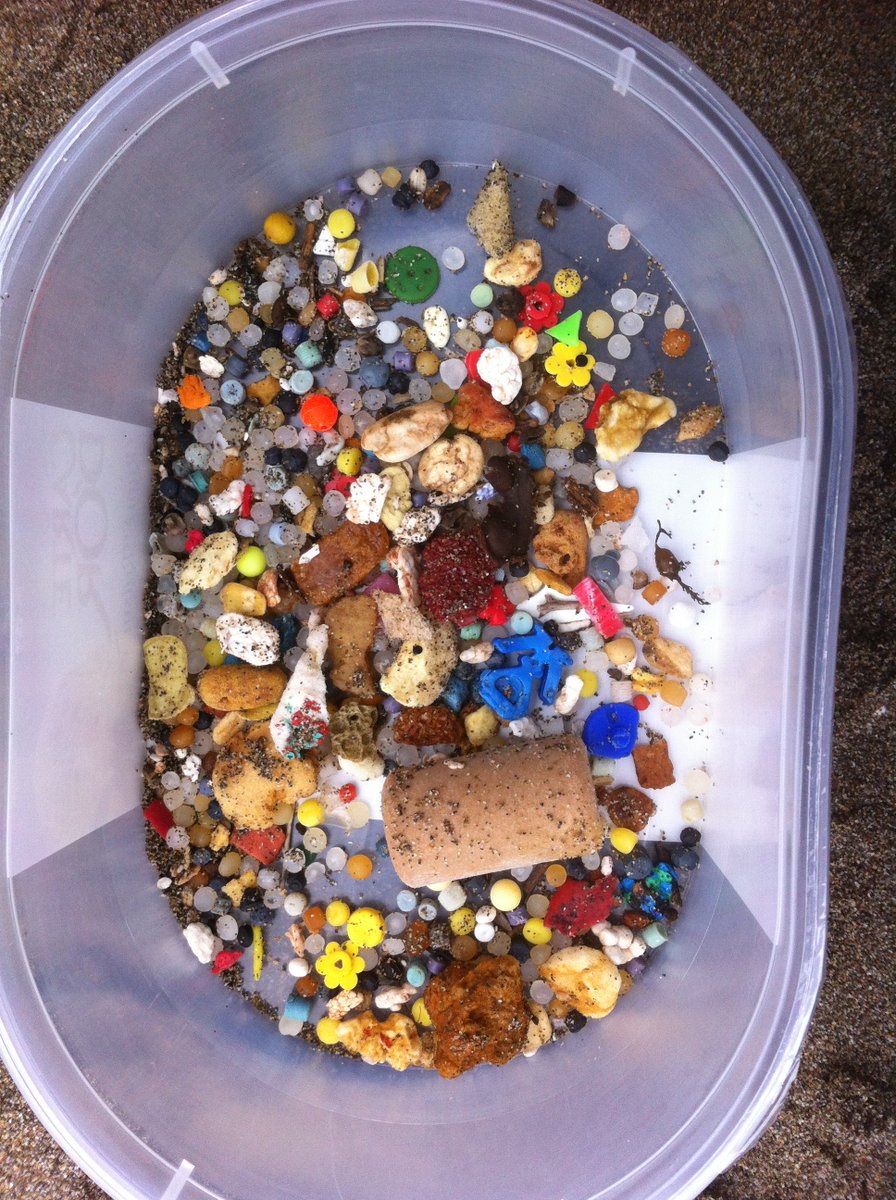 a_massos's tweet photo. Samples of marine litter from Whitsands Bay https://t.co/WARwRUTven