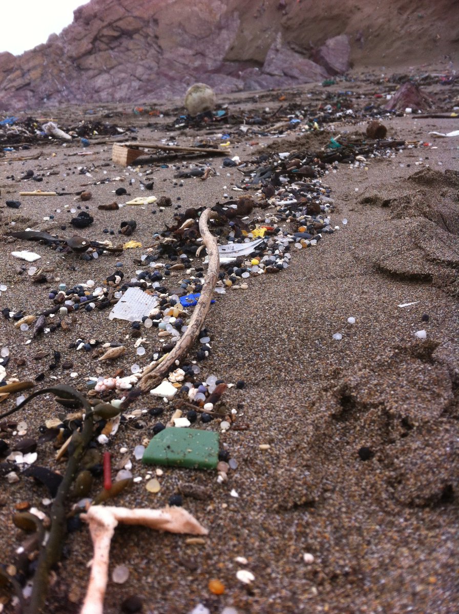 Samples of marine litter from Whitsands Bay