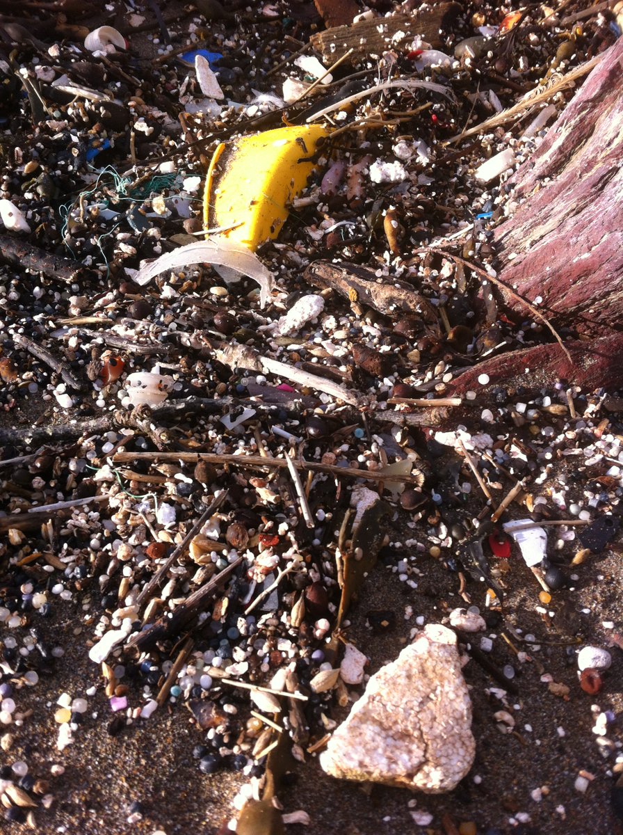 a_massos's tweet photo. Samples of marine litter from Whitsands Bay https://t.co/WARwRUTven