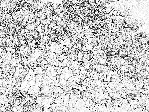 Tourism Ontario tweet media