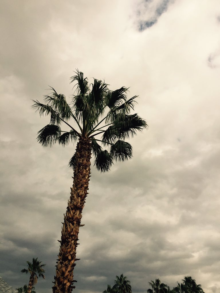 Great place to watch the #Hawks #PalmSprings #ElNino