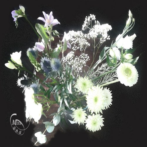 DJMissMana's tweet photo. I say it with flowers. Super weekend. New week. Bring it on. After #planet90 from 22-00hr. Have a good one. https://t.co/f9O2NSDepq